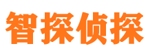 文安找人公司